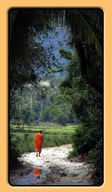 Monk walking near river